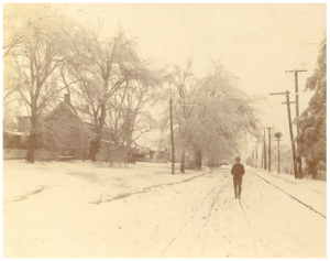 Snowy Road